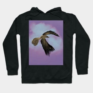 Fly free Hoodie